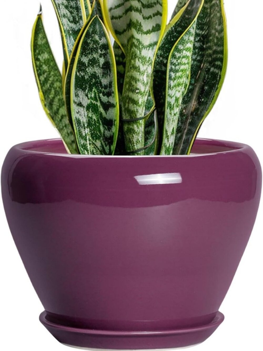 8" Ceramic Planter Pot with Drainage & Saucer - Decorative Indoor Flower Pot